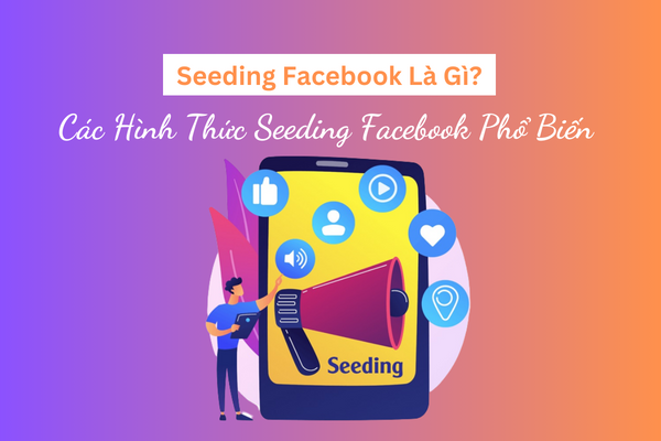 Tìm hiểu các loại seeding facebook phổ biến