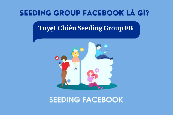 Seeding group facebook bài bản và hiệu quả với 5 cách
