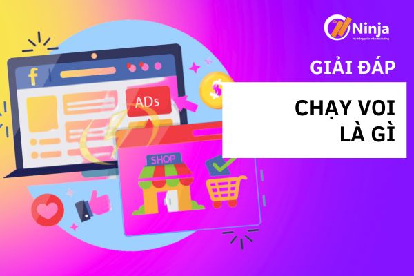 Tìm hiểu về chạy voi là gì