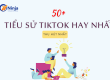 Tiểu sử tiktok hay